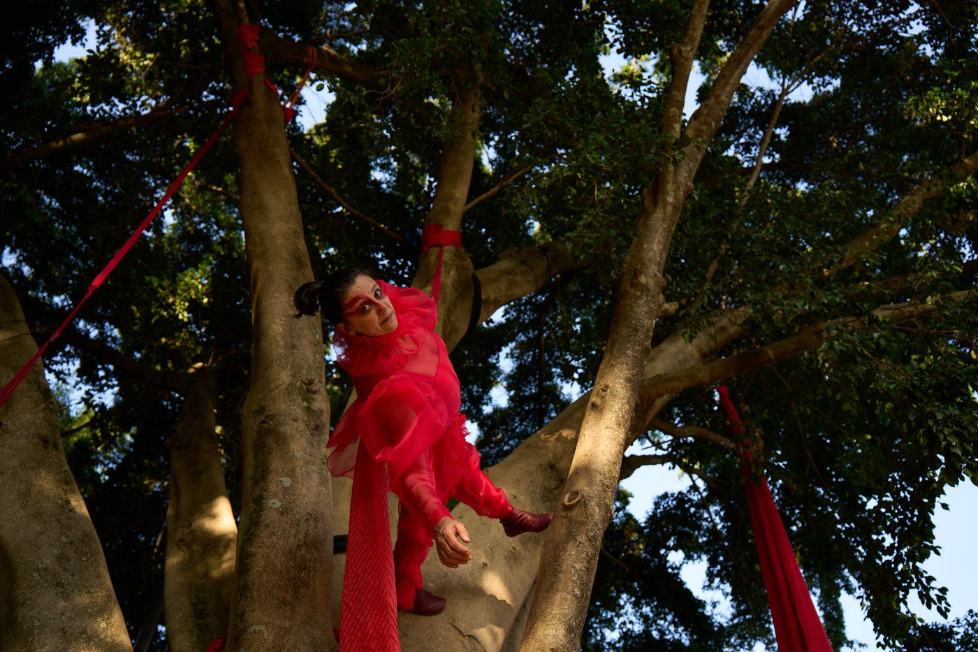Experiência aérea e sensorial: Solo 'Canária' em São Paulo