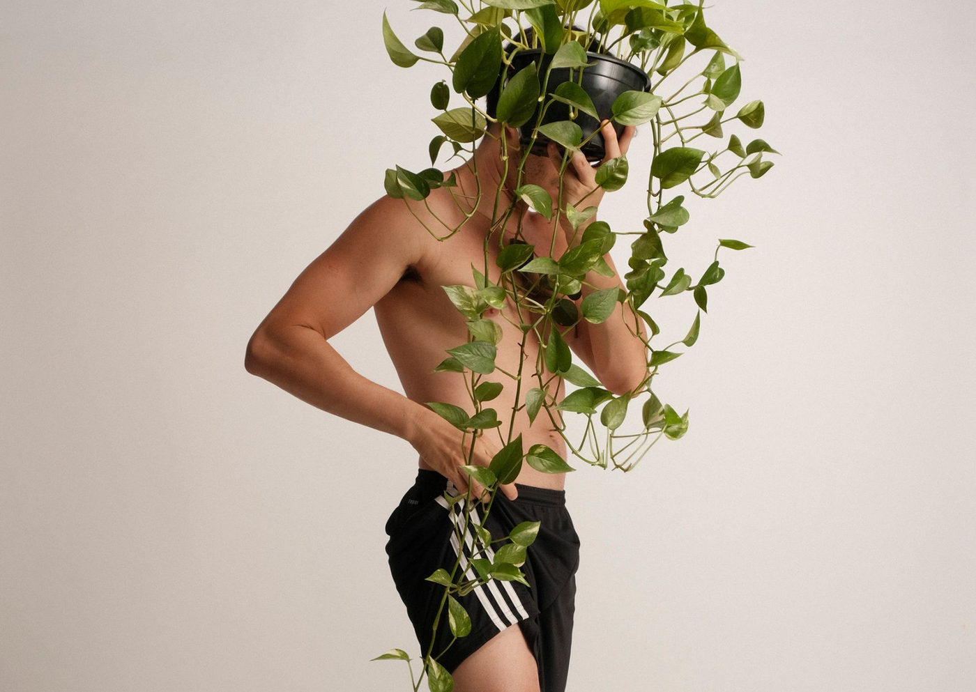 ”Selva: Solidão” Estreia no Teatro Ziembinski com Reflexões Sobre a Solidão LGBTQIAPN+