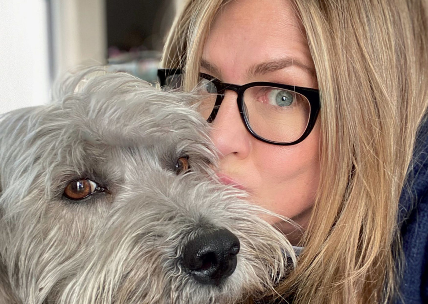 Jennifer Aniston lança livro infantil inspirado em seu cachorro adotado