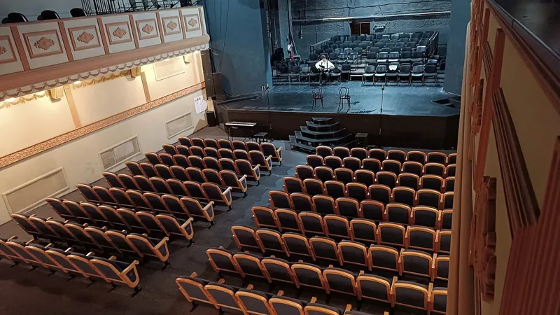 Teatro lotado, conta no vermelho: por que um musical pode fazer sucesso e dar prejuízo